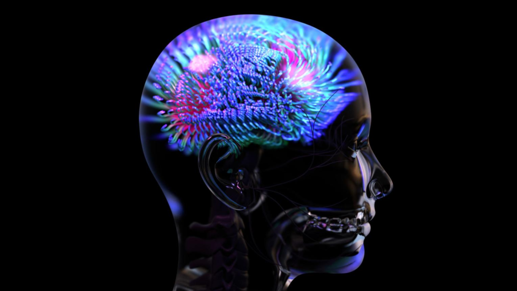 What Is Consciousness? 🧠✨
