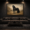 20 Frame Mockup