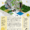 20 Architecture Books Collection (Ebook)