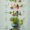 Better Flavour & Taste | The Red Plate Cookbook