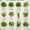 The Herbal Medicine Guide: Natural Remedies & Healing Herbs