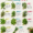 The Herbal Medicine Guide: Natural Remedies & Healing Herbs