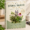 The Herbal Medicine Guide: Natural Remedies & Healing Herbs