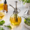 The Herbal Medicine Guide: Natural Remedies & Healing Herbs