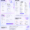 Portfolio Website Template | React + Vite